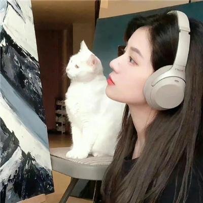 携带狗的猫